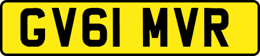 GV61MVR