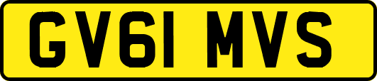 GV61MVS