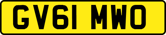 GV61MWO