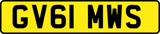 GV61MWS