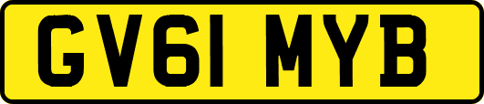 GV61MYB