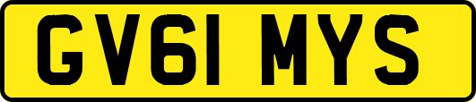 GV61MYS