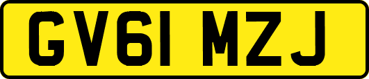 GV61MZJ