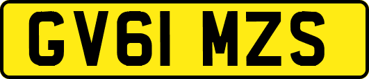 GV61MZS
