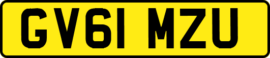 GV61MZU