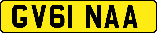 GV61NAA