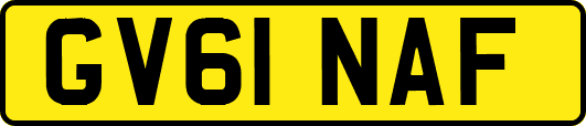 GV61NAF