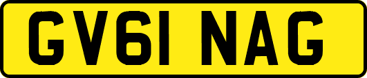 GV61NAG