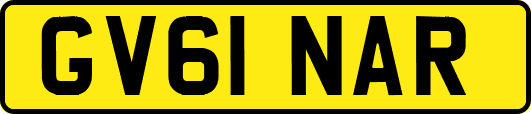 GV61NAR