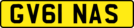 GV61NAS