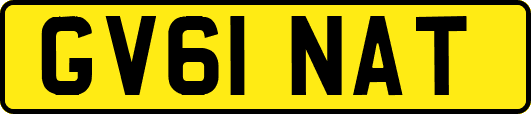 GV61NAT