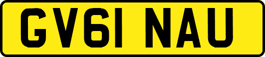 GV61NAU