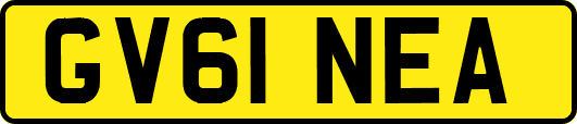 GV61NEA