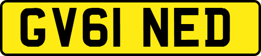 GV61NED