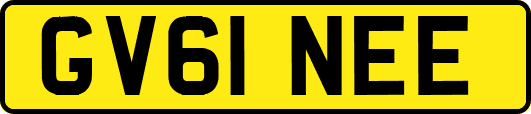 GV61NEE