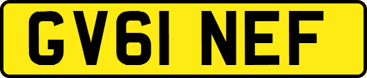 GV61NEF