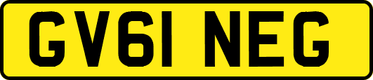 GV61NEG
