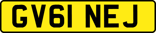 GV61NEJ