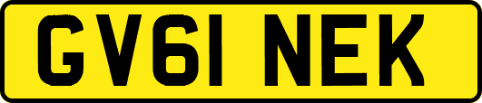 GV61NEK