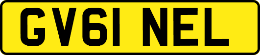 GV61NEL