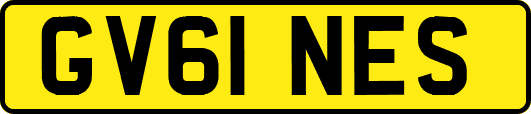 GV61NES