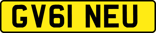 GV61NEU