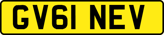 GV61NEV