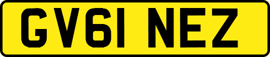 GV61NEZ