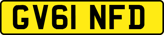 GV61NFD