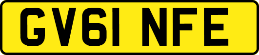 GV61NFE