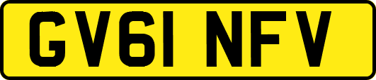 GV61NFV