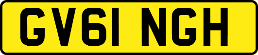 GV61NGH