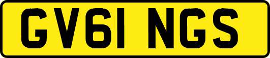 GV61NGS