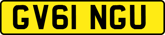 GV61NGU