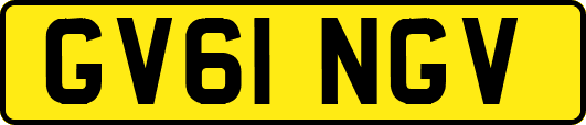 GV61NGV