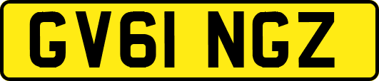 GV61NGZ
