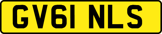 GV61NLS