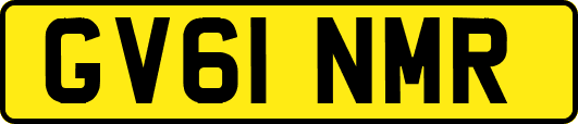 GV61NMR