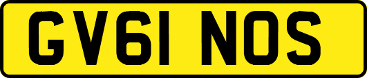 GV61NOS
