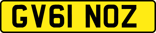 GV61NOZ