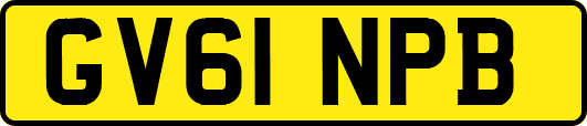 GV61NPB