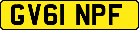 GV61NPF