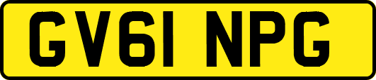 GV61NPG