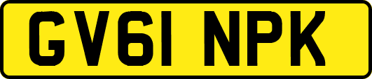 GV61NPK