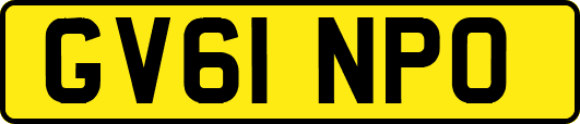GV61NPO