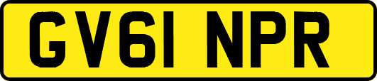 GV61NPR