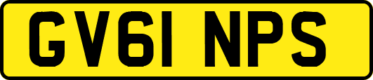 GV61NPS