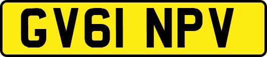 GV61NPV