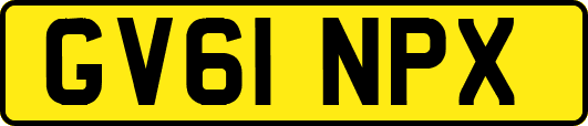 GV61NPX