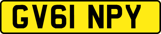 GV61NPY